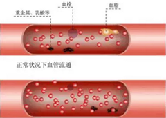 水凈則血凈，血凈則身體無疾??！